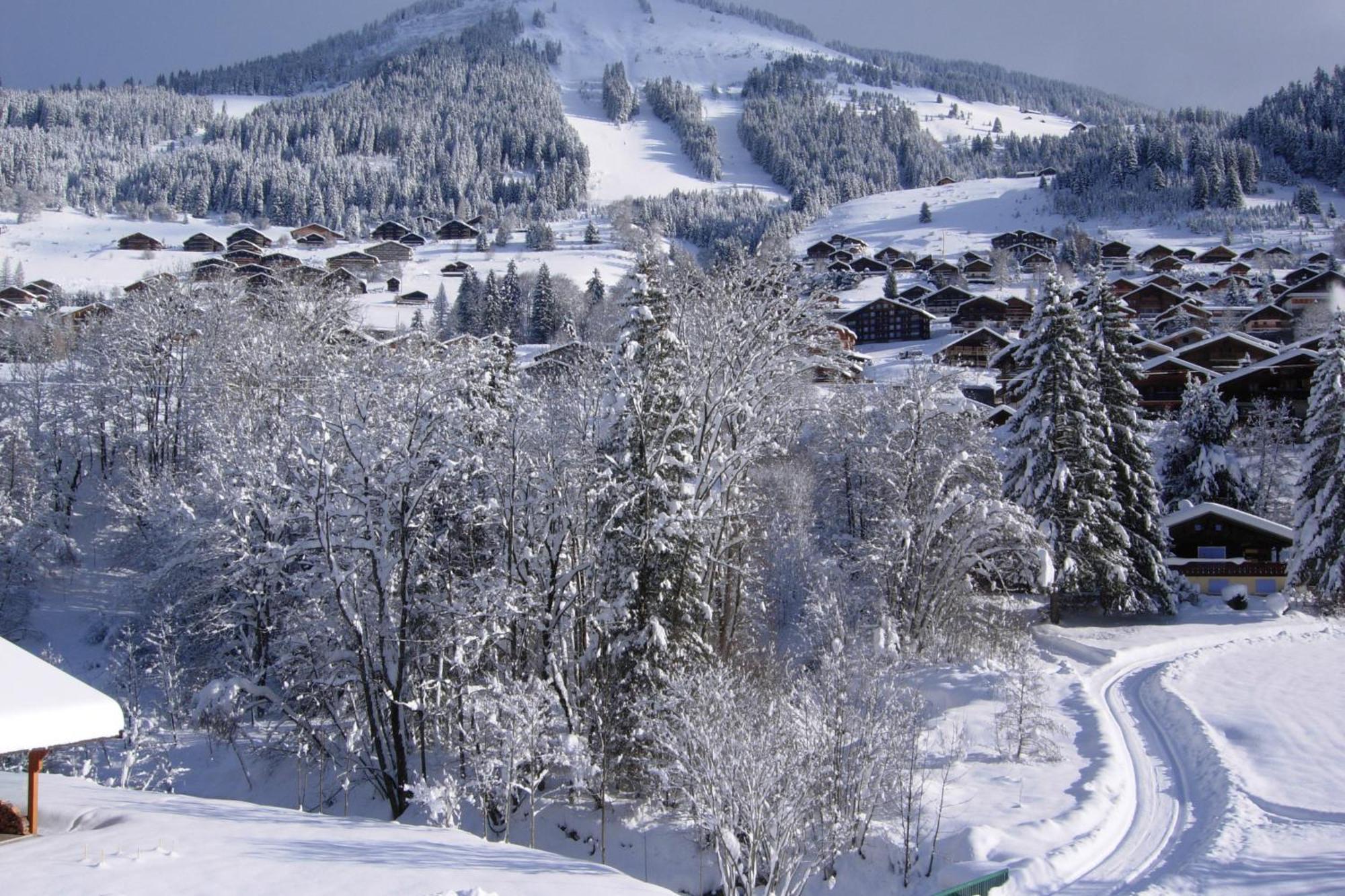 Au Bois De Lune Chatel Ngoại thất bức ảnh
