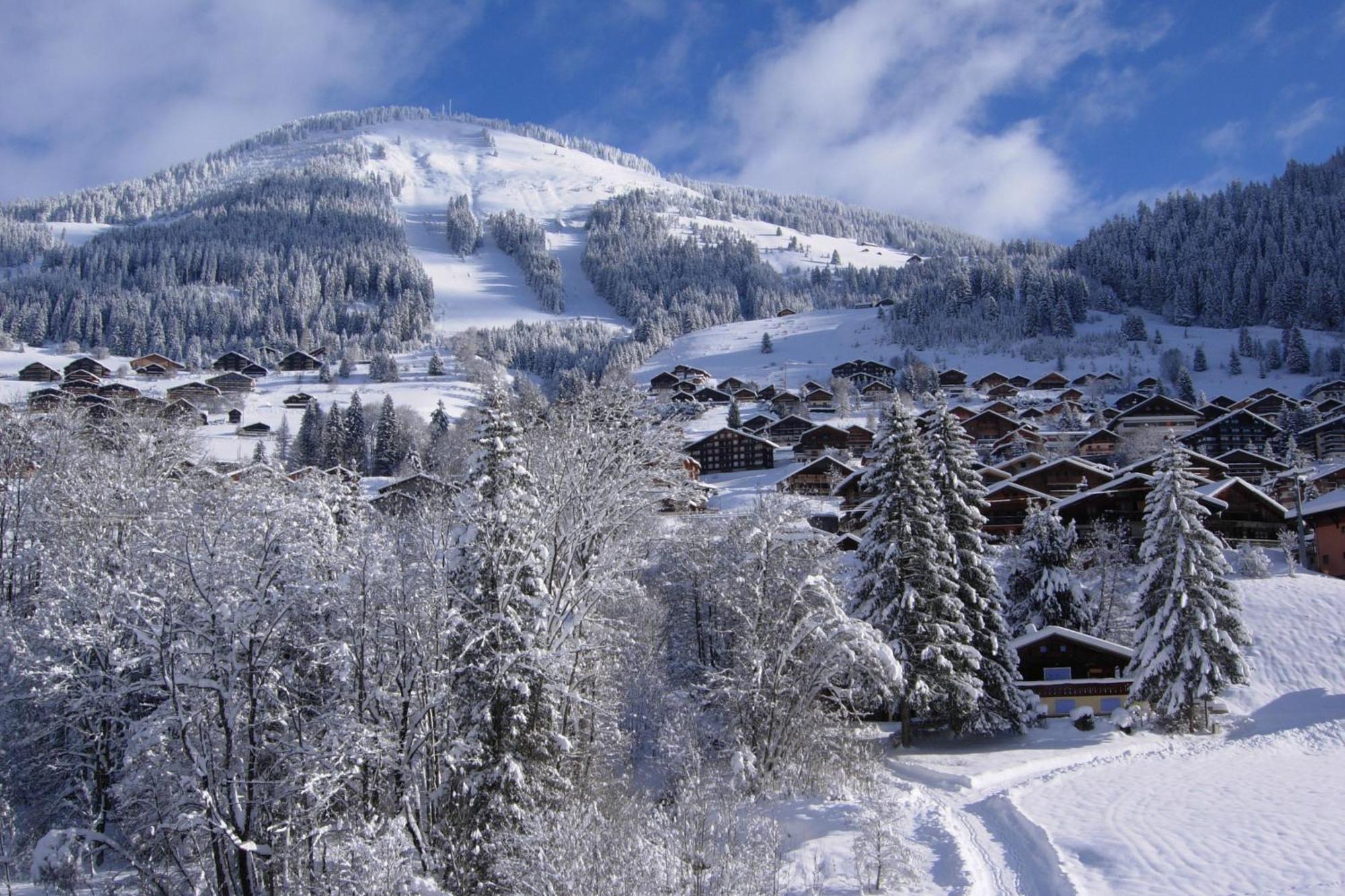 Au Bois De Lune Chatel Ngoại thất bức ảnh